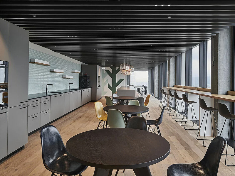 Ernst & Young, Basel Strip Ceiling System Aluminum False Panel Metal Panels Ernst & Young, Basel Strip Ceiling System Aluminum False Panel Metal Panels