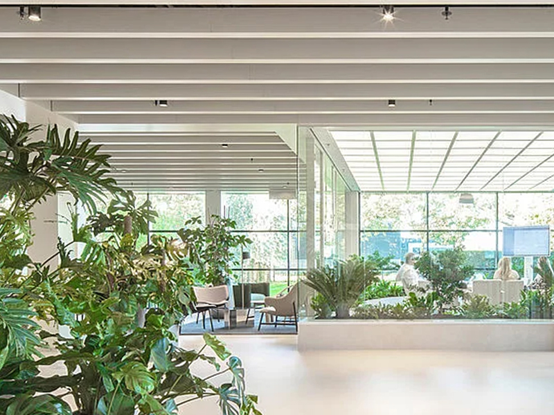 Elho Tilburg Project Metal Ceiling System Aluminum False Panels Customized Elho Tilburg Project Metal Ceiling System Aluminum False Panels Customized