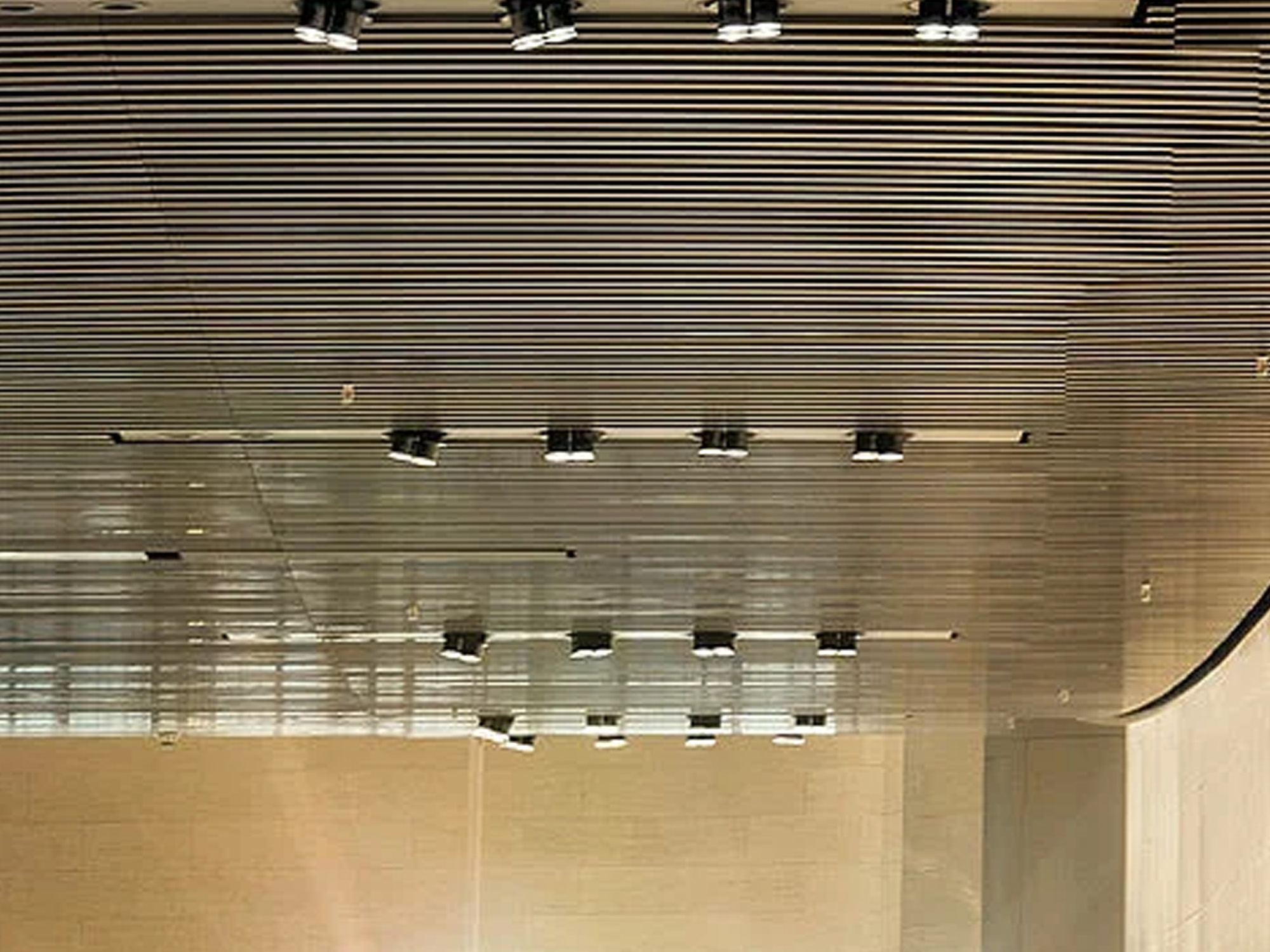 Airways First Class Lounge Ceiling Panel Customized Ceiling Aluminum Metal Ceiling Airways First Class Lounge Ceiling Panel Customized Ceiling Aluminum Metal Ceiling