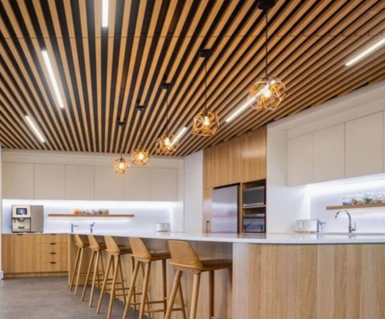 The Role of Aluminum Metal Baffle Ceiling System Panels in Acoustic Design The Role of Aluminum Metal Baffle Ceiling System Panels in Acoustic Design