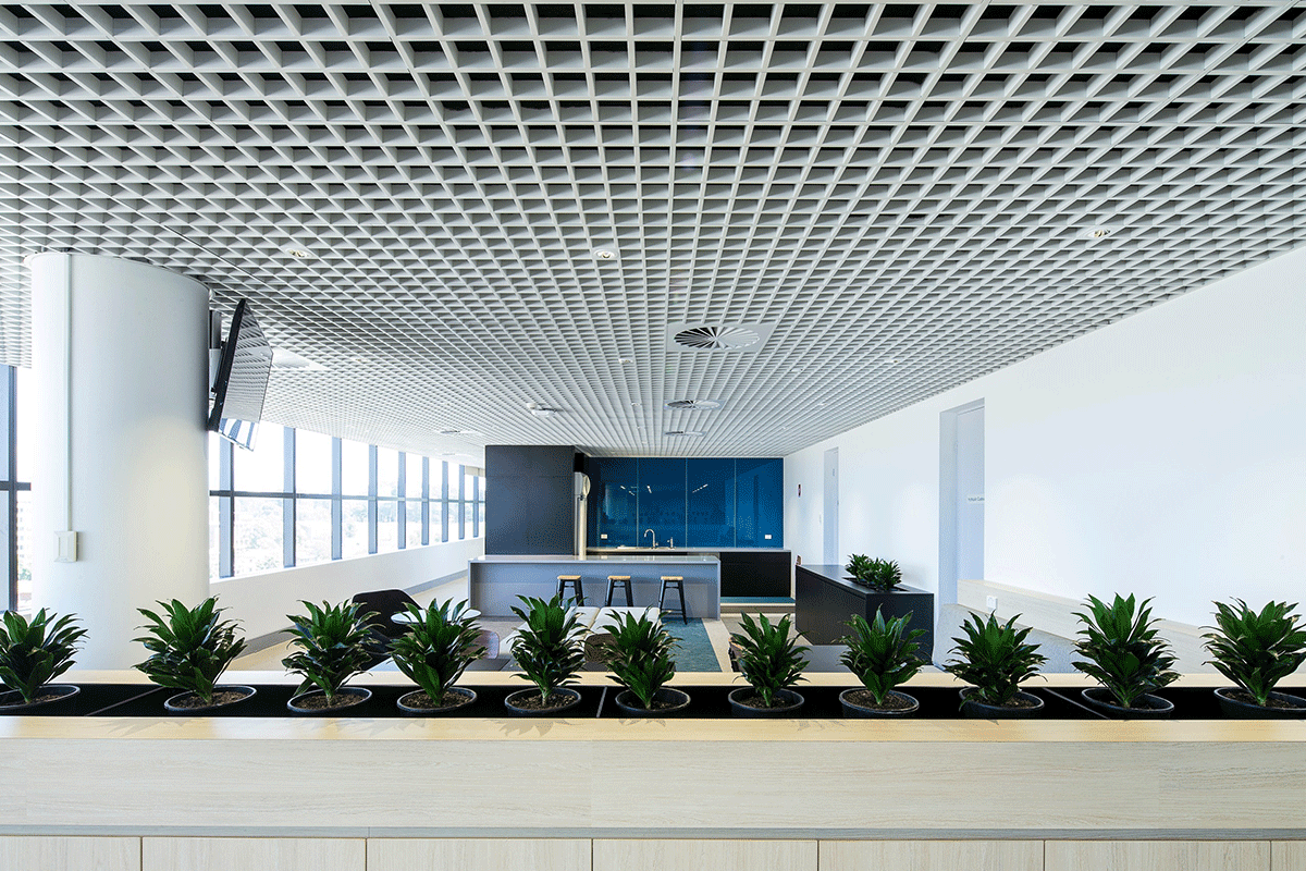 Interior Metal Open Cell Ceiling Aluminum Grille Ceiling: Maintenance Tips Interior Metal Open Cell Ceiling Aluminum Grille Ceiling: Maintenance Tips